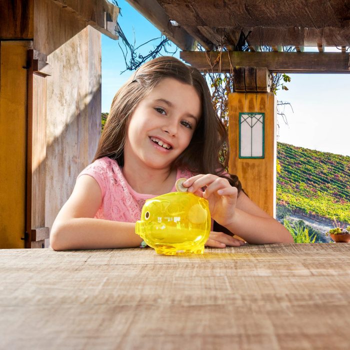 ALCANCIA PUERQUITO - Image 3